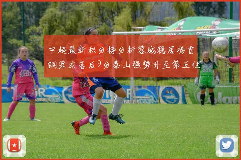 中超最新积分榜分析蓉城稳居榜首铜梁龙落后9分泰山强势升至第五位津门虎积分清零