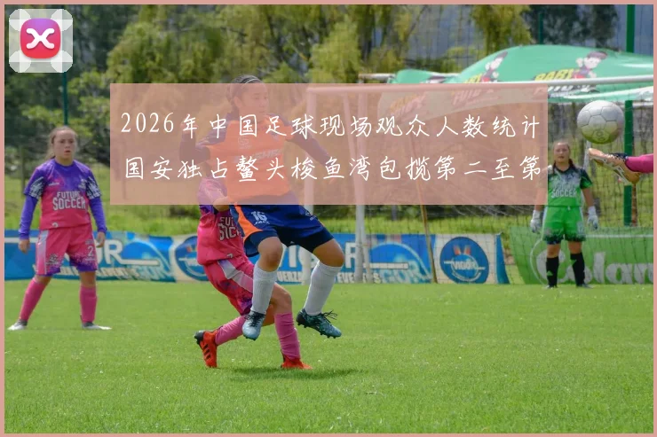 2026年中国足球现场观众人数统计国安独占鳌头梭鱼湾包揽第二至第七位